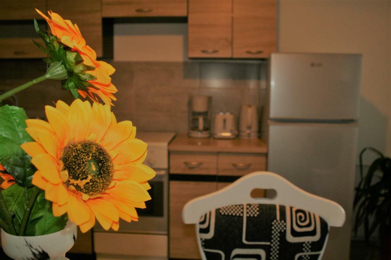Casa Peterfi - Apartment With 3 Bedrooms And Spacious Living Room Targu Mures Exterior foto